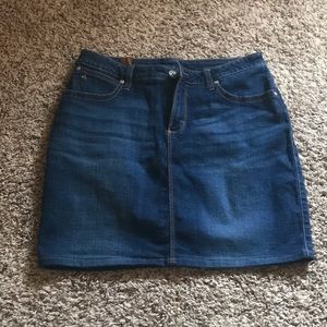 Dark Wash Denim Skirt | Worn (maybe) twice